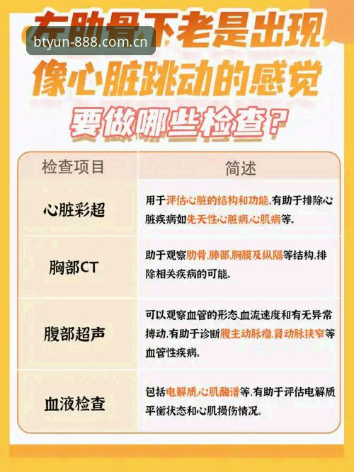 b体育官网平台无法下载问题全面解析：从原因到解决方案的详细解读